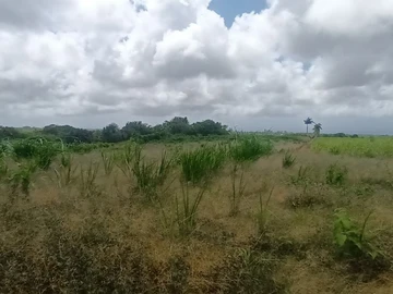 Agricultural Land