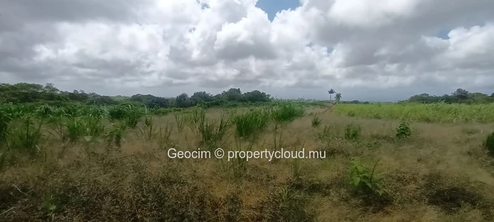Britannia Agricol freehold plot of land 32867 sqm close to River. (Sole Mandate)