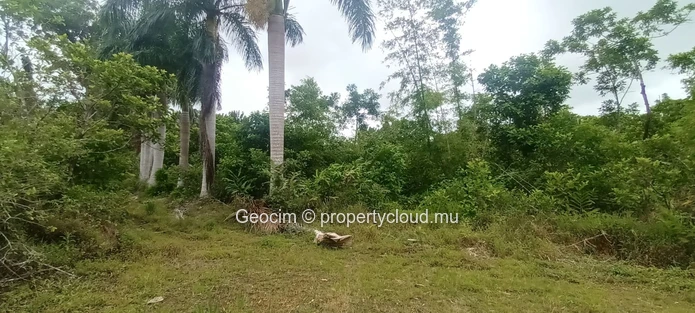 Britannia Agricol freehold plot of land 32867 sqm close to River. (Sole Mandate)