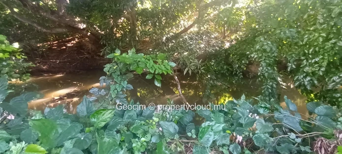 D'Epinay prox Pamplemousse Terrain agricole de 4.4 arpents avec rivière et plantation litchis. Eau et Ceb sur place. ... (Mandat exclusif)