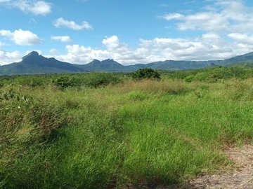 Residential Land