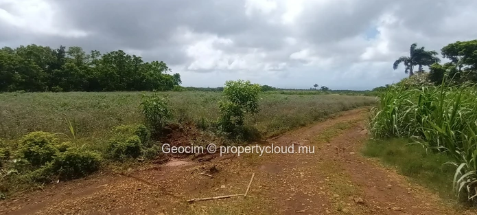Britannia Agricol freehold plot of land 32867 sqm close to River. (Sole Mandate)