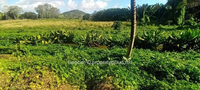 D'Epinay prox Pamplemousse Terrain agricole de 4.4 arpents avec rivière et plantation litchis. Eau et Ceb sur place. ... (Mandat exclusif)