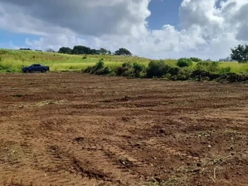 Residential Land