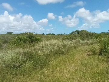 Residential Land