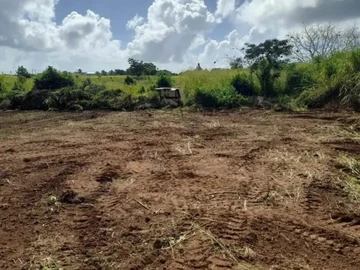 Residential Land