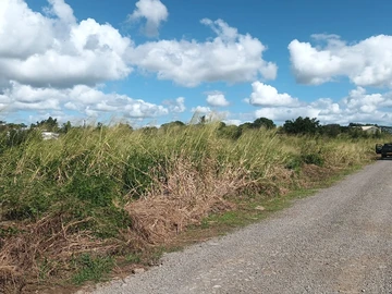 Residential Land