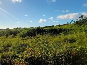Agricultural Land