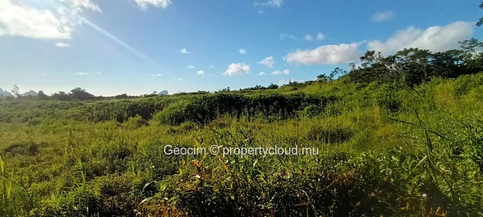 Curepipe Rte Gd Bassin Terrain agricole de 1.80 arpents. Electricité proche. (Mandat exclusif)