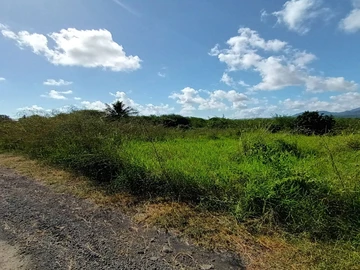 Residential Land