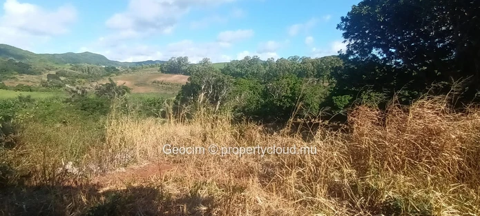 D'Epinay prox Pamplemousse Terrain agricole de 4.4 arpents avec rivière et plantation litchis. Eau et Ceb sur place. ... (Mandat exclusif)