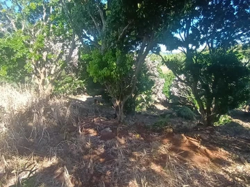 Agricultural Land