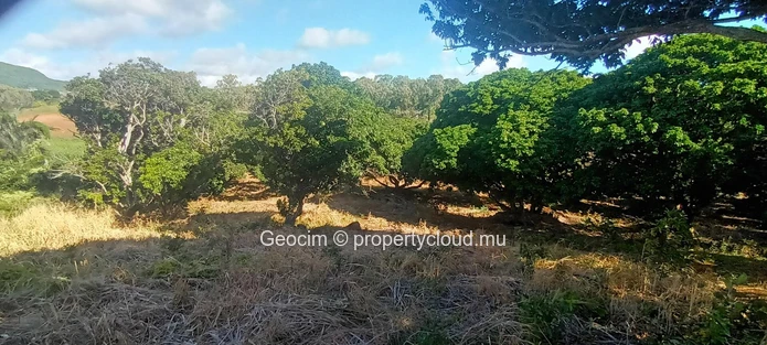 D'Epinay prox Pamplemousse Terrain agricole de 4.4 arpents avec rivière et plantation litchis. Eau et Ceb sur place. ... (Mandat exclusif)